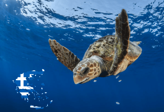 Screenshot 2020-02-25 at 13.58.58